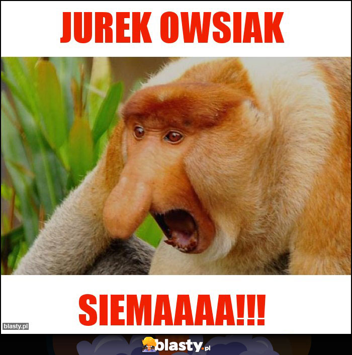 Jurek owsiak