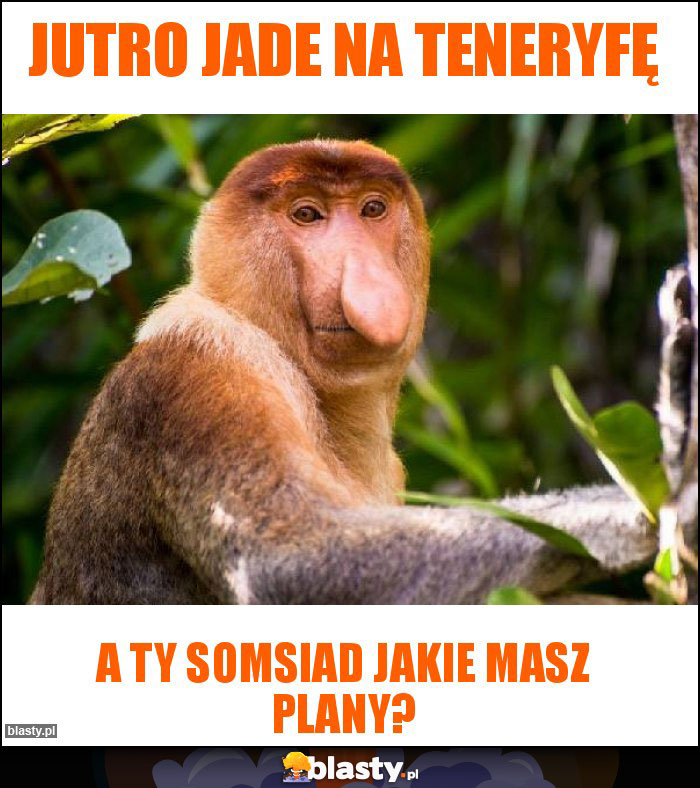 Jutro jade na Teneryfę