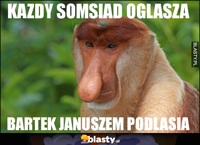 KAZDY SOMSIAD OGLASZA