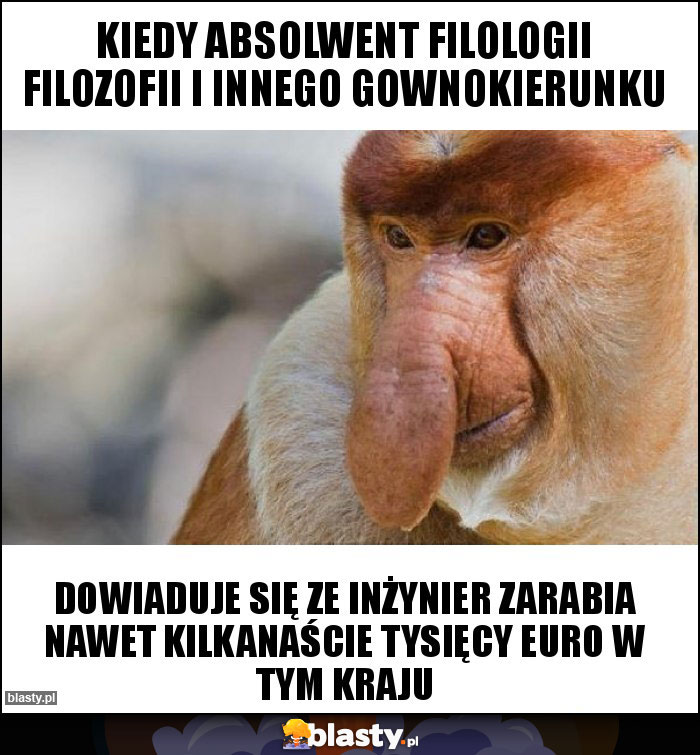 Kiedy absolwent filologii filozofii i innego gownokierunku