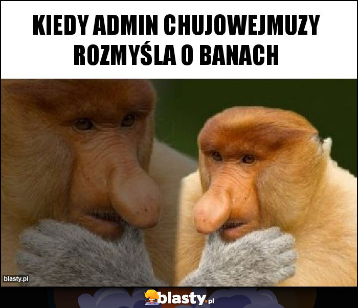 Kiedy admin chujowejmuzy rozmyśla o banach