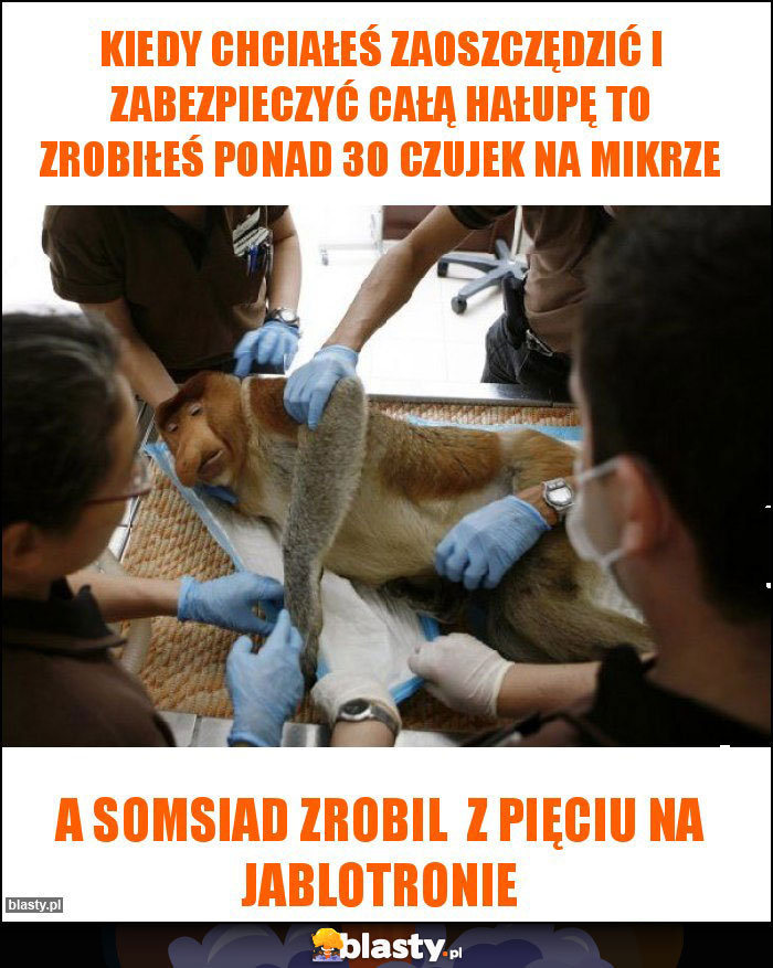 kiedy chciałeś zaoszczędzić i zabezpieczyć całą hałupę to zrobiłeś ponad 30 czujek na mikrze
