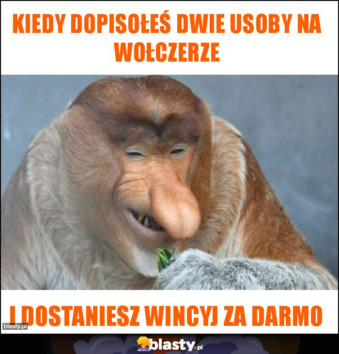 Kiedy dopisołeś dwie usoby na wołczerze