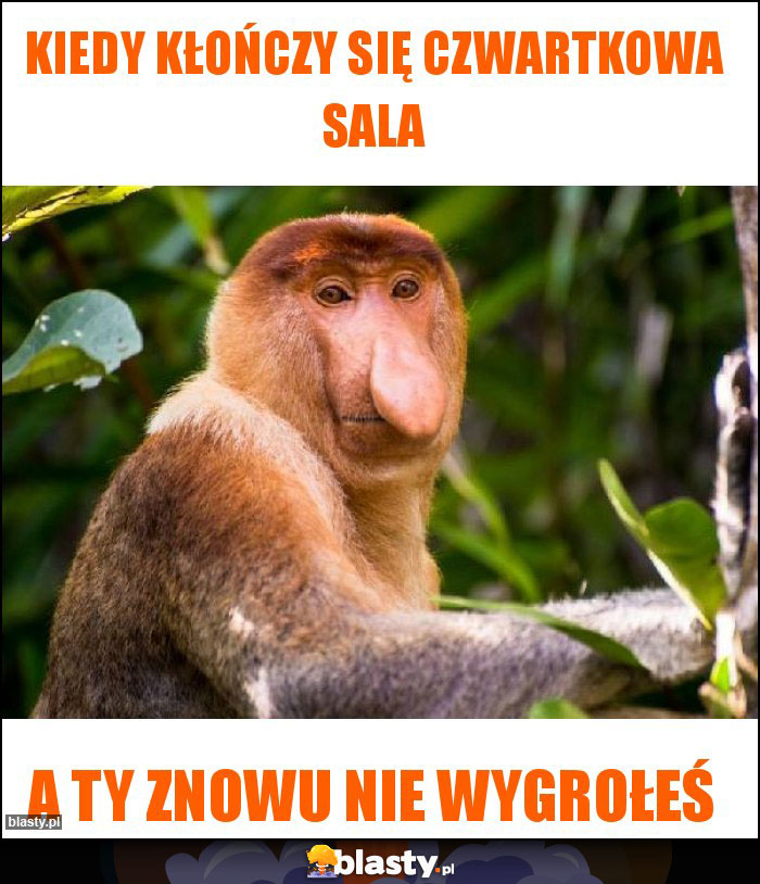 Kiedy kłończy się czwartkowa sala