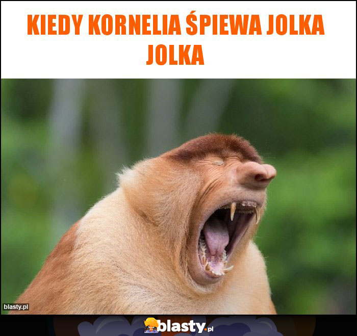 Kiedy Kornelia śpiewa Jolka Jolka