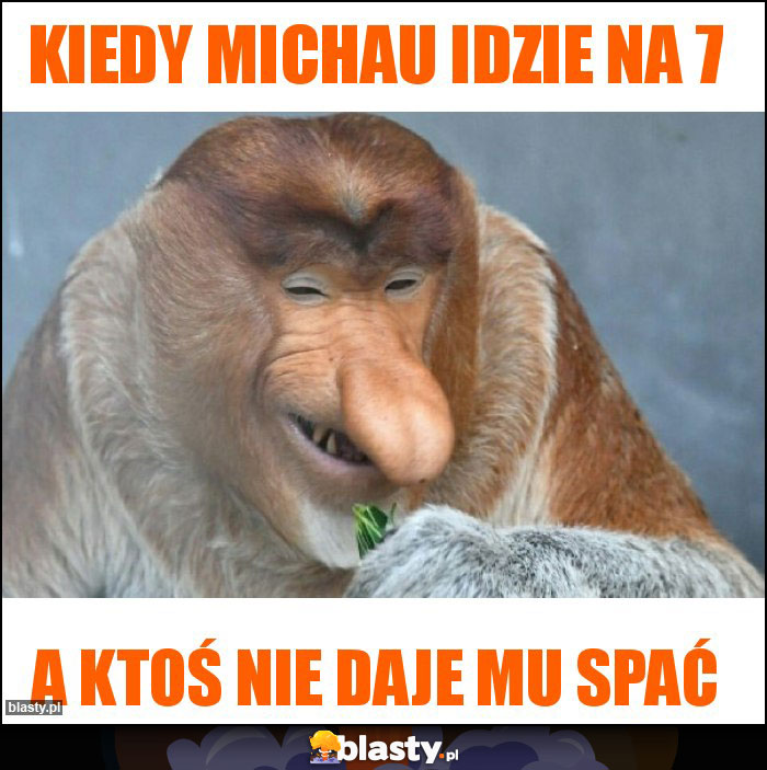 Kiedy Michau idzie na 7