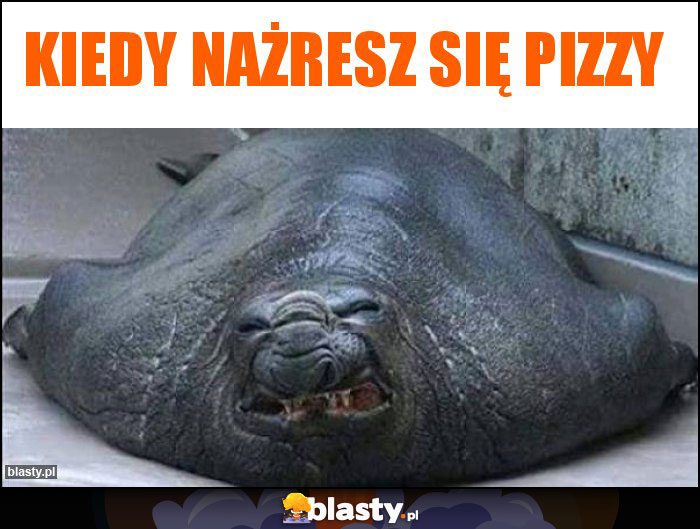 Kiedy nażresz się pizzy