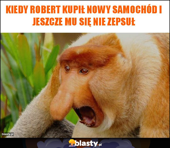 Kiedy Robert kupił nowy samochód i jeszcze mu się nie zepsuł