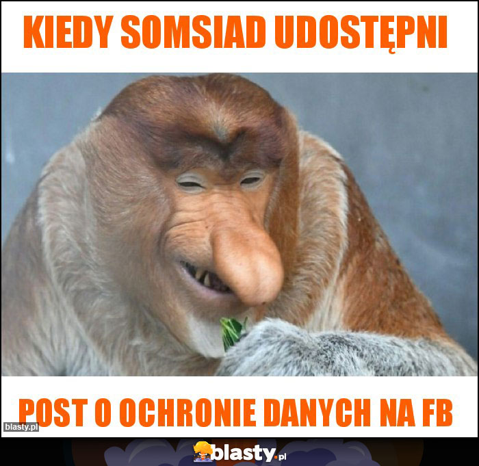 Kiedy somsiad udostępni