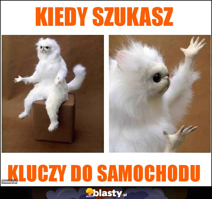 Kiedy szukasz