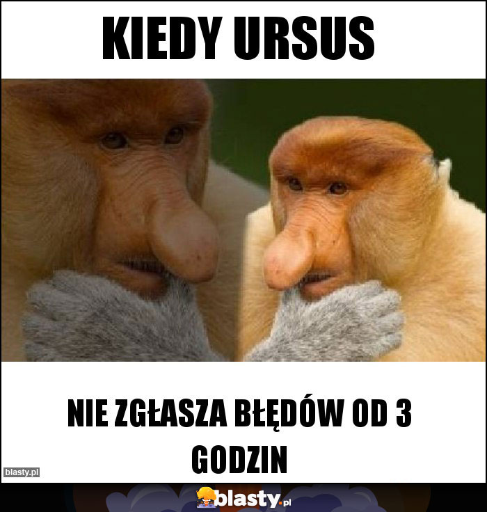 KIEDY URSUS