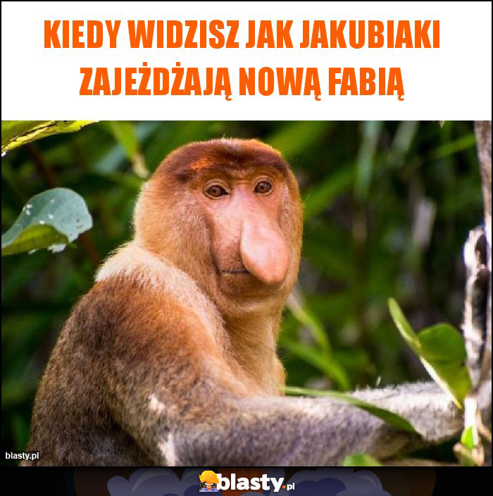 Kiedy widzisz jak Jakubiaki zajeżdżają nową fabią