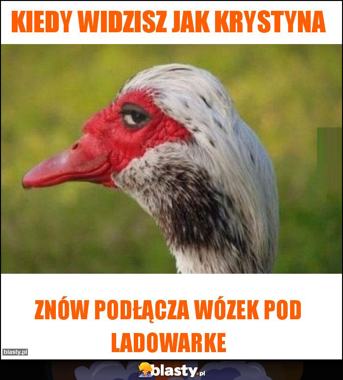 Kiedy widzisz jak Krystyna