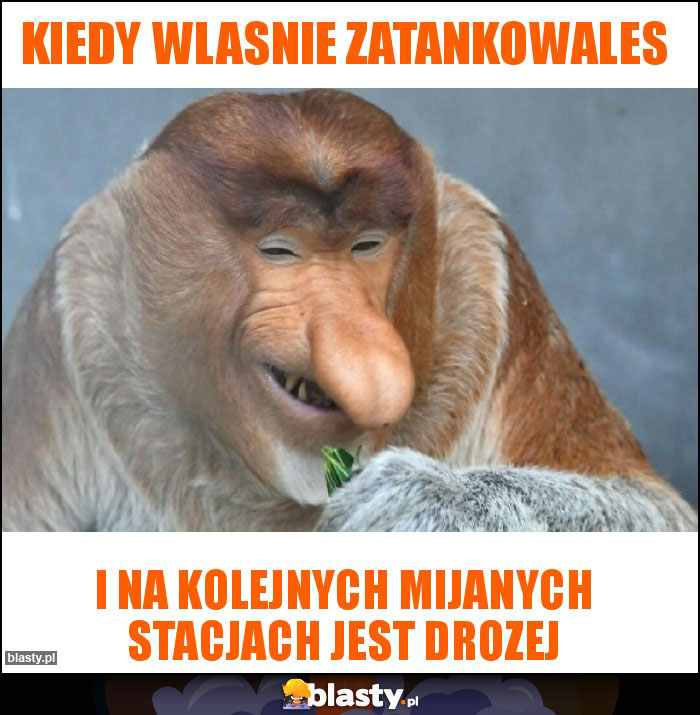 Kiedy wlasnie zatankowales