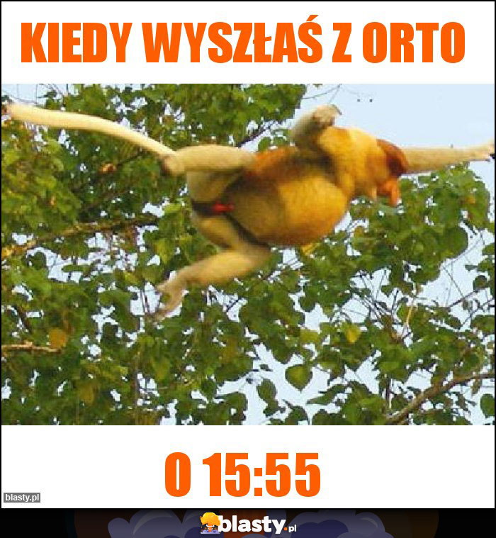 Kiedy wyszłaś z orto