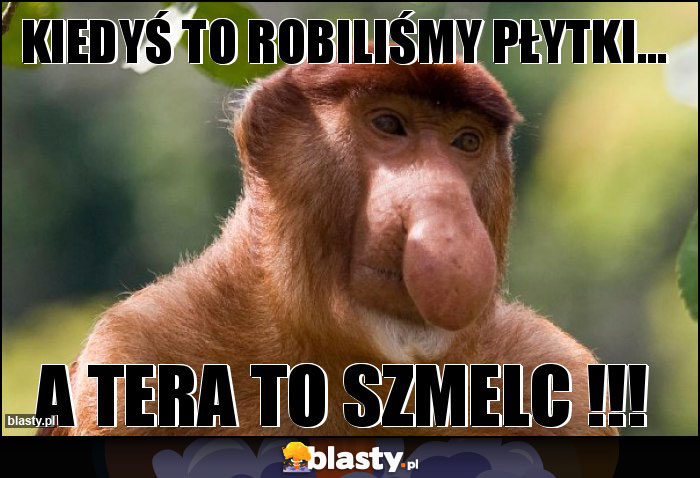 kiedyś to robiliśmy płytki...