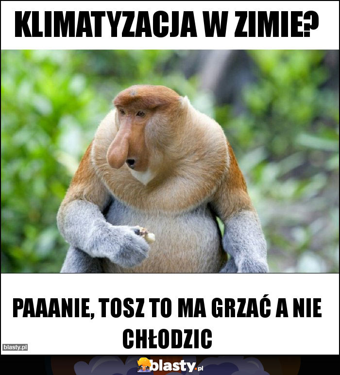 Klimatyzacja w zimie?