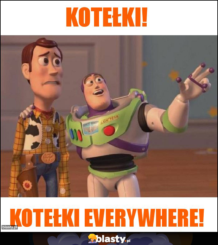 Kotełki!