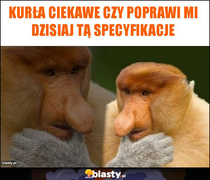 KURŁA CIEKAWE CZY POPRAWI MI DZISIAJ TĄ SPECYFIKACJE