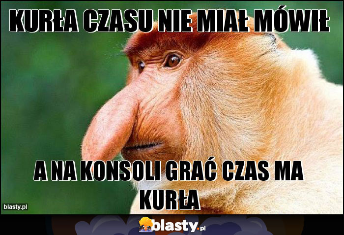 Kurła czasu nie miał mówił