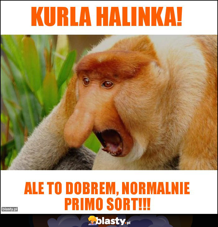 Kurla Halinka!