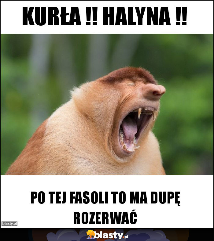 Kurła !! Halyna !!