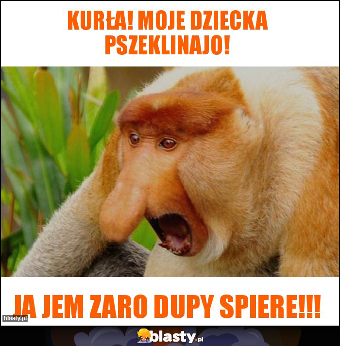 Kurła! Moje dziecka pszeklinajo!