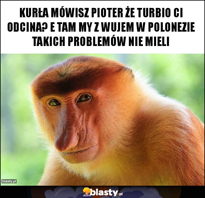 KURŁA MÓWISZ PIOTER ŻE TURBIO CI ODCINA? E TAM MY Z WUJEM W POLONEZIE TAKICH PROBLEMÓW NIE MIELI