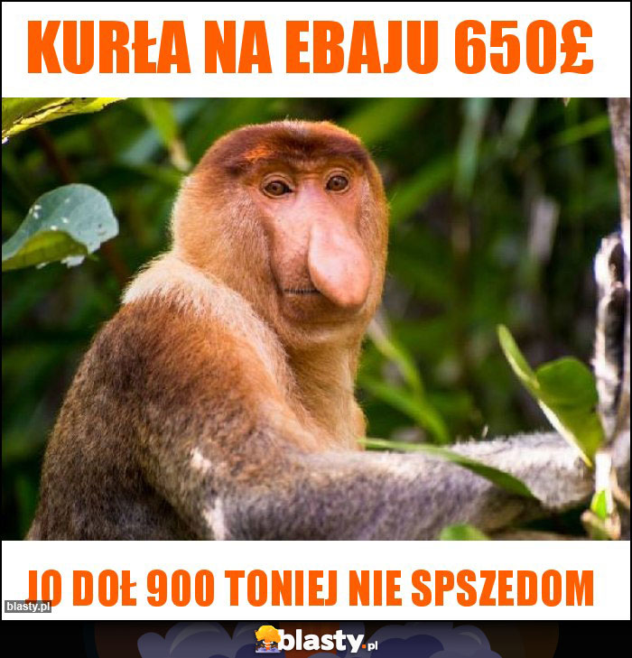 Kurła na ebaju 650£