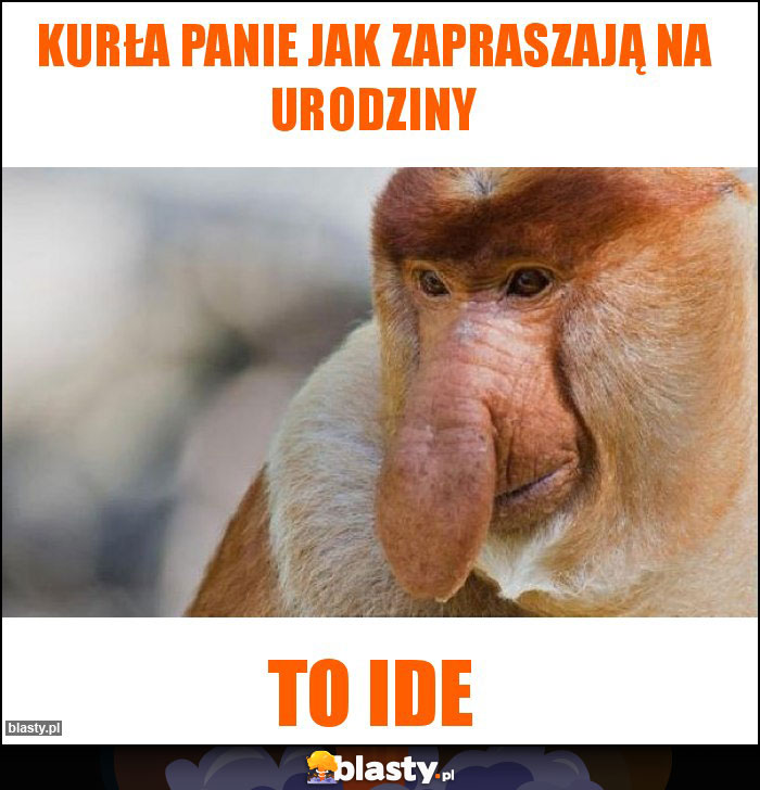 Kurła panie jak zapraszają na urodziny