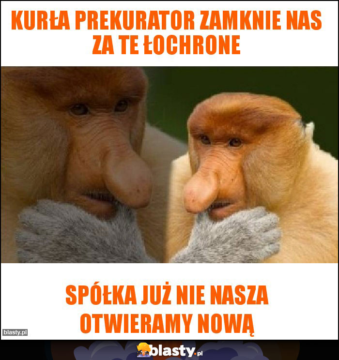 KURŁA PREKURATOR ZAMKNIE NAS ZA TE ŁOCHRONE