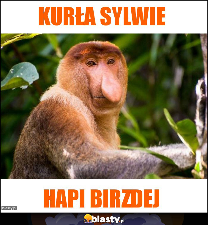 Kurła Sylwie