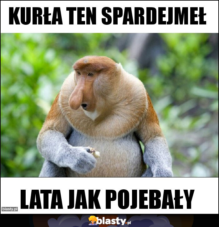 kurła ten spardejmeł