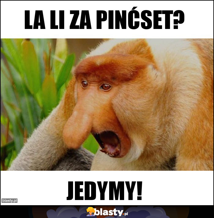 LA LI za pinćset?