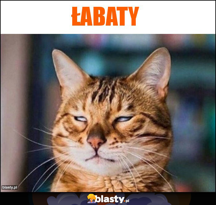 Łabaty