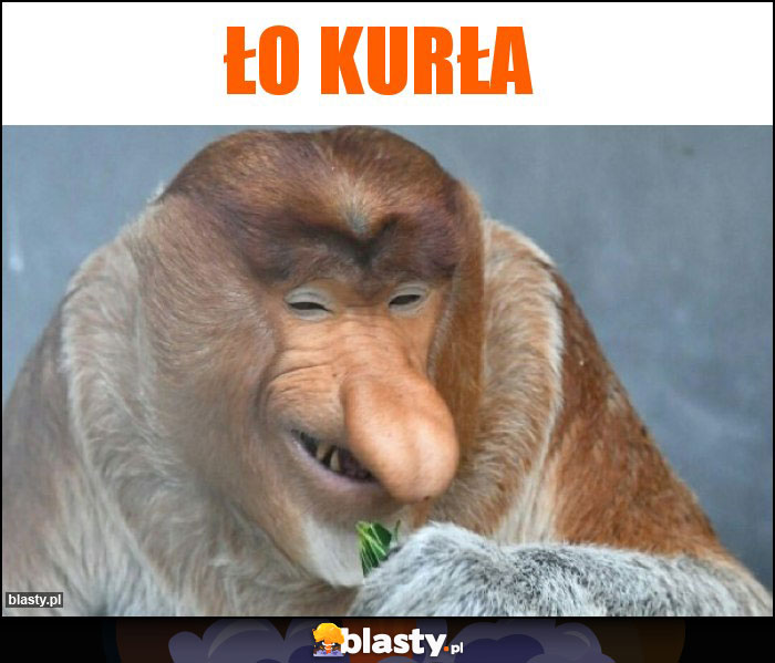 ło kurła