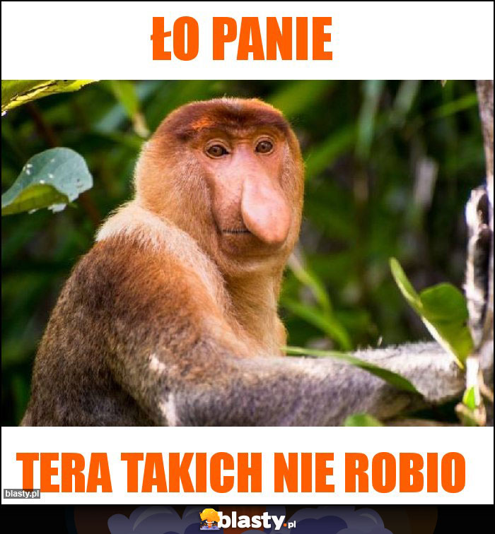 ŁO PANIE