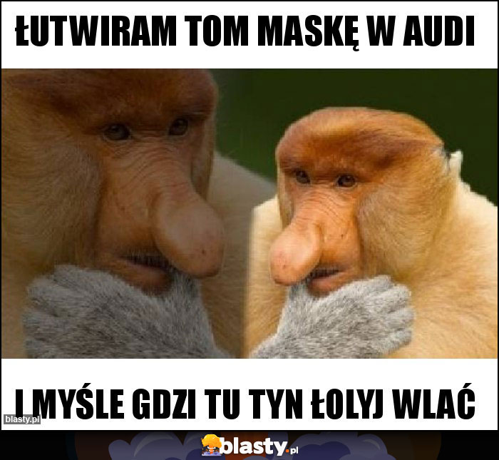 Łutwiram tom maskę w audi