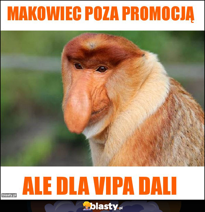 Makowiec poza promocją