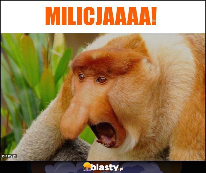 Milicjaaaa!