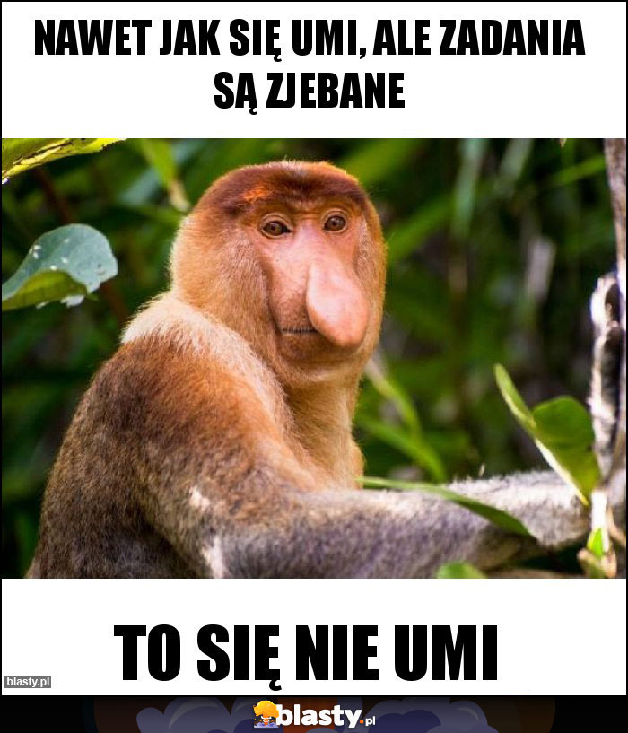 Nawet jak się umi, ale zadania są zjebane