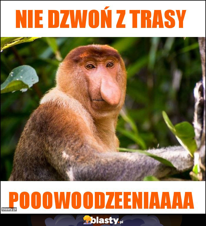 Nie dzwoń z trasy