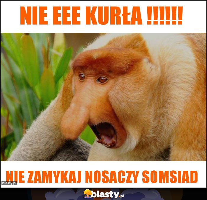 Nie Eee kurła !!!!!!