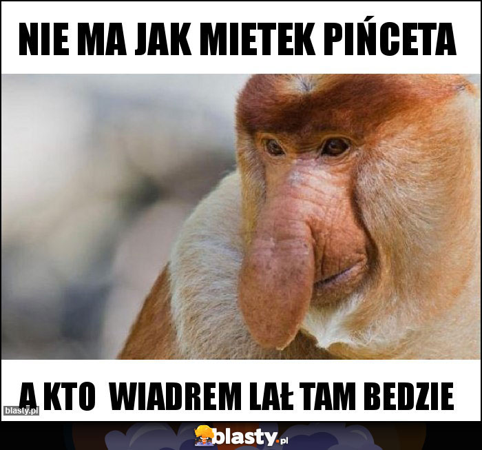 Nie ma jak mietek pińceta