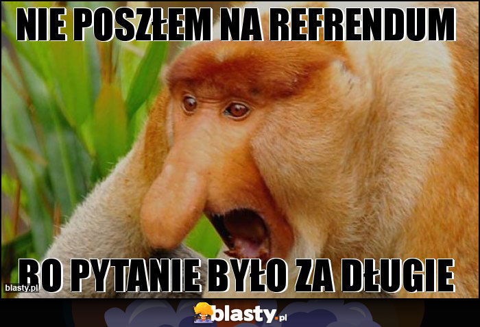 nie poszłem na refrendum