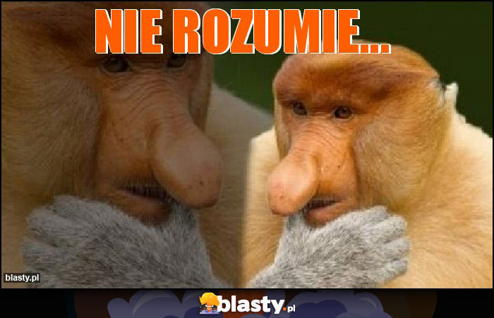 NIE ROZUMIE...