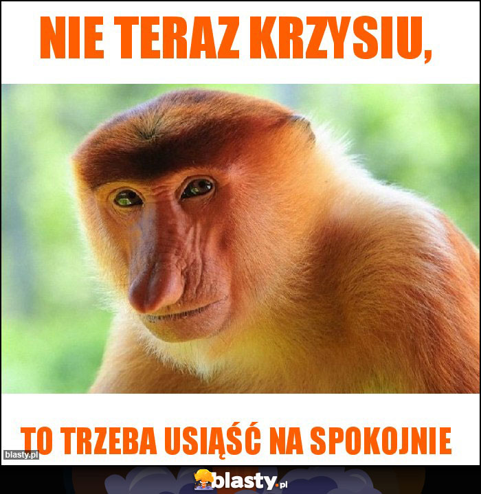 Nie teraz Krzysiu,