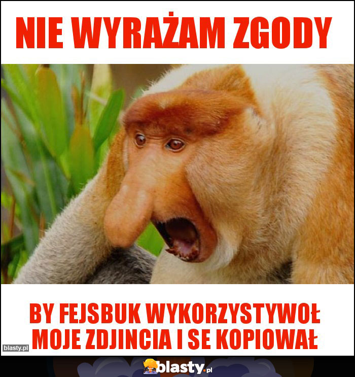 nie wyrażam zgody