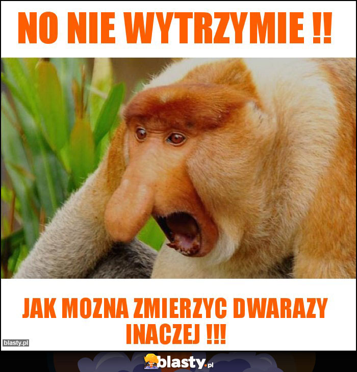 No nie wytrzymie !!