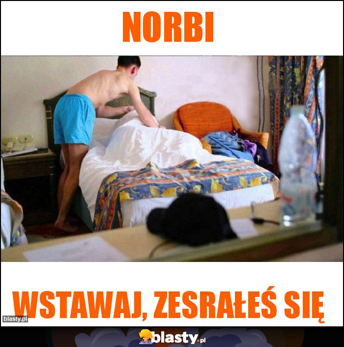 Norbi